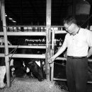 대근목장 이미지