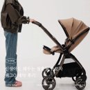 Q | 신생아도 태우는 절충형 유모차 에그Q 예약 후기