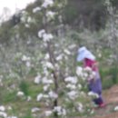 동산농원 이미지