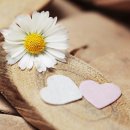 나원초등학교 이미지