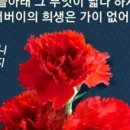 해인약국 이미지