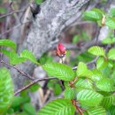 지리산친구들 이미지