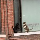 영민푸드트럭 | 뭐만하면블로그제목이래