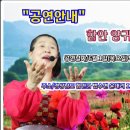 (7)함안 양귀비꽃 축제 공연(종료) 이미지