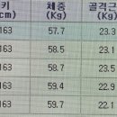 풍무소녀