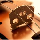 토요바이올린(오후) 이미지