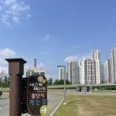북천시민공원 공용화장실 | 20250511 대전중촌시민공원 샤스타데이지 개화율, 주차, 주변맛집