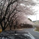 칠갑산나그네옻닭 이미지