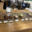 라이블리(Lively) 이미지