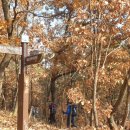 상산약수터 이미지