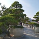 숏스트리트(SHORT_ST) 이미지