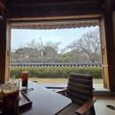 오릉 | 경주 한옥 카페 듀포레 경주 솔직후기 | 오릉 옆 대형 베이커리, 주차 편해서 더 좋았던 곳 (내돈내산)