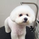 늘, 예쁘개 이미지