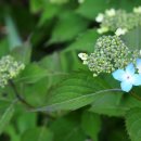 사려니숲길 쉐어하우스 이미지