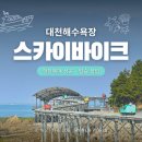 스카이 | [충남 보령] 대천해수욕장 스카이바이크 후기｜현장예매 오픈런 &amp; 탑승 꿀팁 총정리