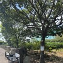 다락 | 제주 디저트 맛집 분위기좋은 카페 귤꽃다락 내돈내산 후기