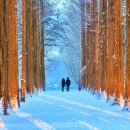 호남카정비 이미지