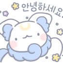 인싸포토원곡점