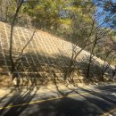 도구머리공원 이미지