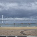 비타민 흑염소농장 이미지