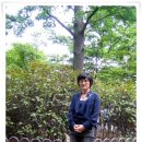 정수선 - 은평구 불광로 87 | 정수선