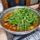 세종 부강 짜글이 맛집 고향집