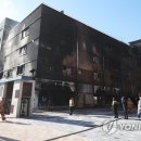 보름초교 이미지