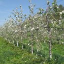 광현농장 이미지