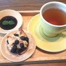 펜앤아트 (카페촉)