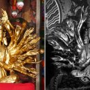 성균관대학교박물관 이미지