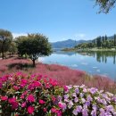 자라섬남도1(강변) 이미지