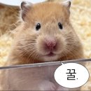 대빵오락실 수원로데오점 | 여긴 그냥 카페가 아니라 놀이터 | 더홀릭보드카페 수원역점