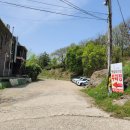 고운님 전통차 이미지