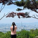 남한산성면-3 | [남한산성] 등산 초보의 남한산 등산 코스 추천! 주차정보 • 남한산 정상석 • 벌봉 • 수어장대