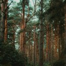 주식회사부동산중개법인연 이미지