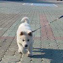 바닷가 산책 이미지