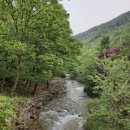 문경하늘펜션 이미지