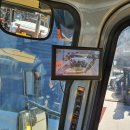 장자골로 이미지