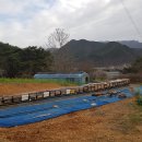 광희농원