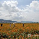 낙동강관리본부 대저생태공원 2 이미지