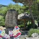 [정선 여행] 한국판 알프스 민둥산 - 뚜벅이 급경사 코스 등산 후기 (5월~7월 꼭 가봐야 할 곳)