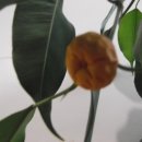 새한의원 이미지