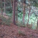 자학농장 이미지