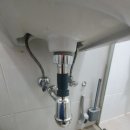 오동동010 이미지