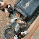 상오농장 | 강화도 뚜벅이 당일치기 여행 (강화루지/프렌쥬랜드/온수리성당)