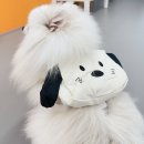 호돌유치원 | 강아지 애견 유치원 목포 퍼피그라운드 원생 되다