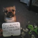 라온제나 이미지