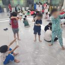 용인대미르태권도 이미지