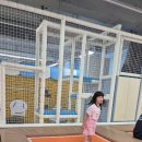 협동이발소 | 브레드이발소 키즈카페 파주점 방문 후기 🍞💈