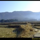 호포주유소 이미지